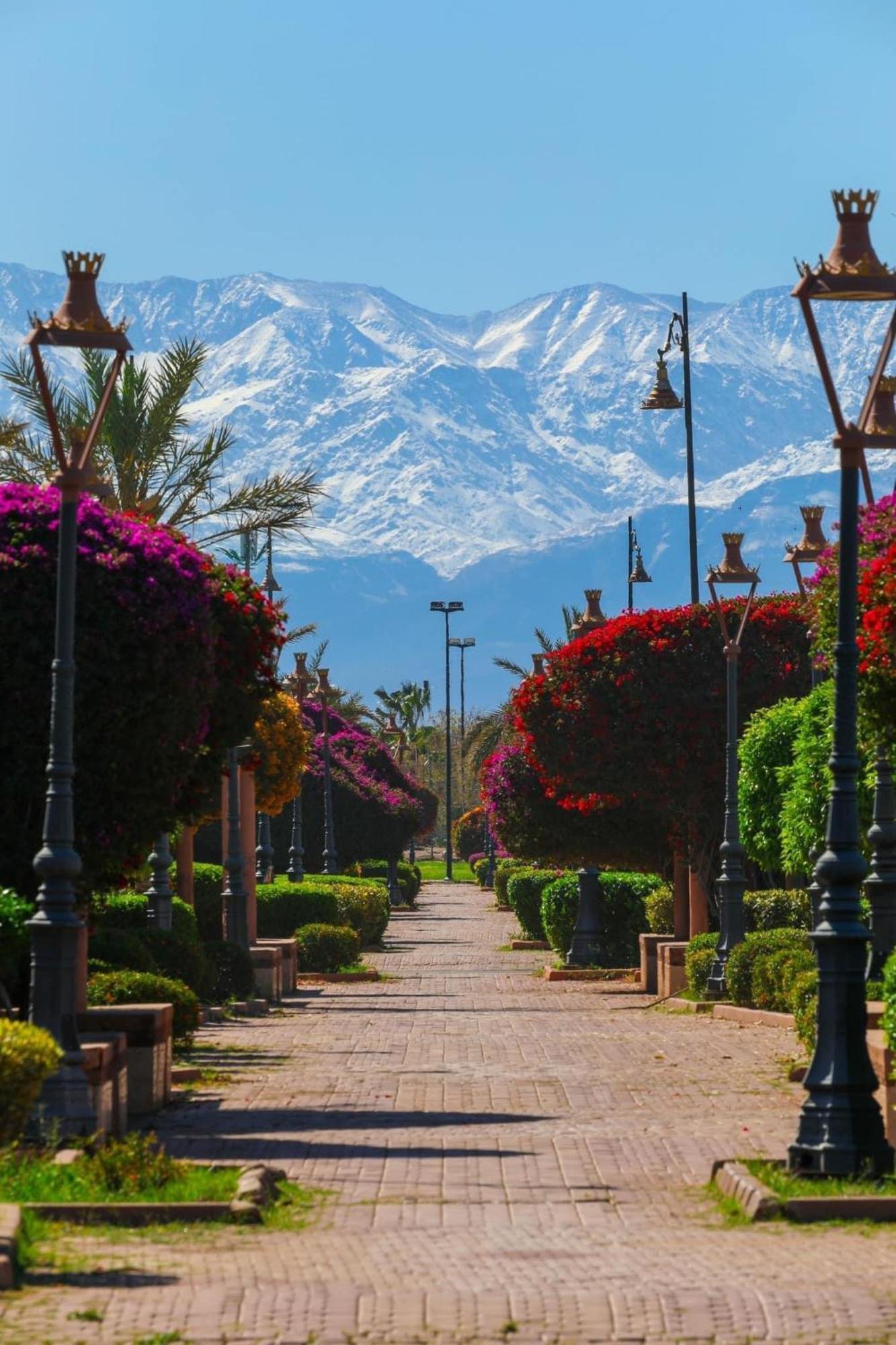 Riad Majestic Marrakech Marrákes Kültér fotó
