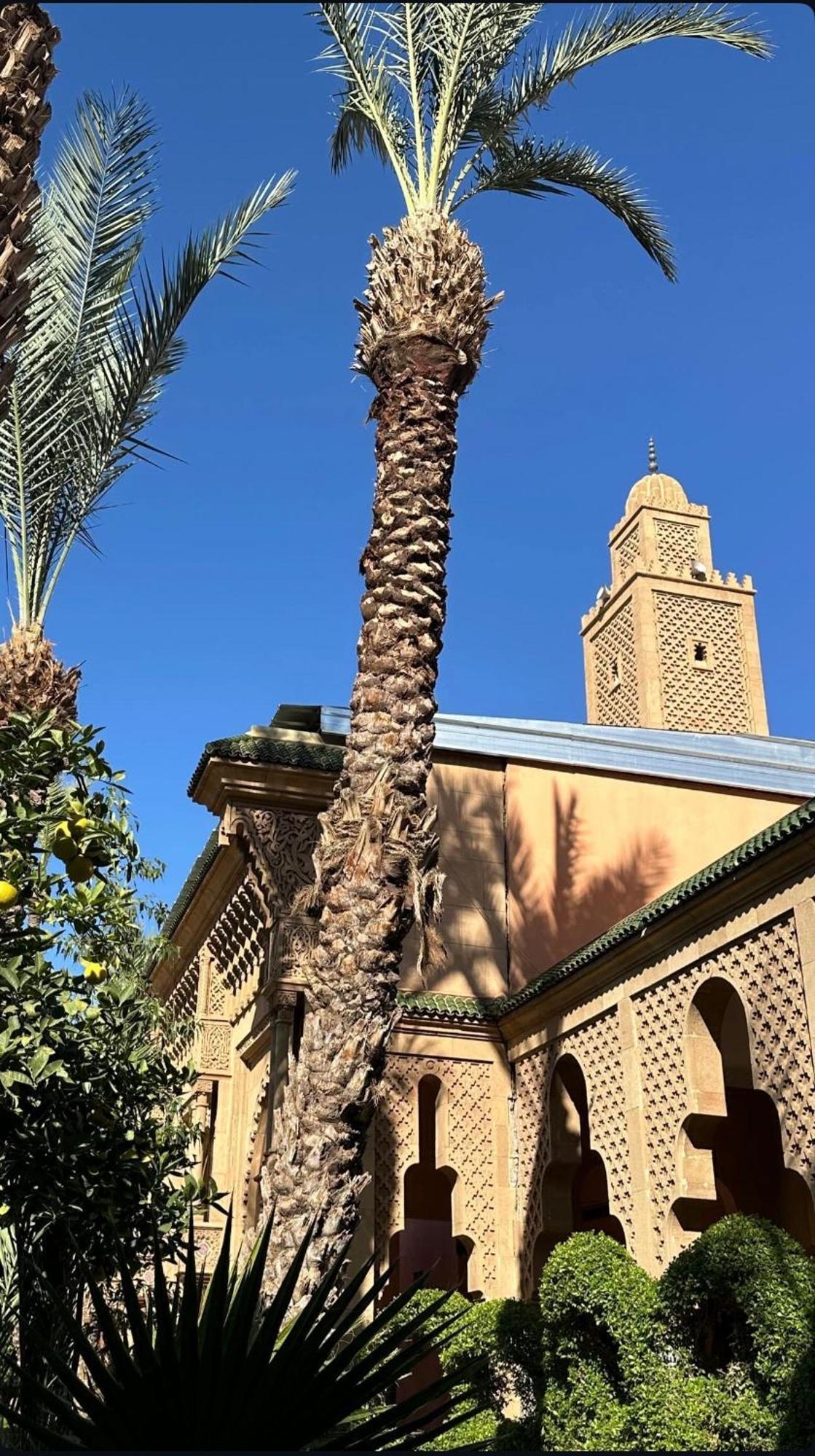 Riad Majestic Marrakech Marrákes Kültér fotó